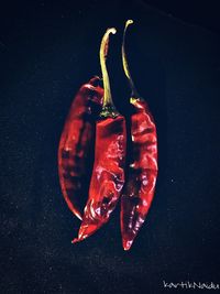 High angle view of red chili pepper on table against black background