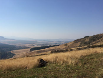 Scenic view of field against clear sky