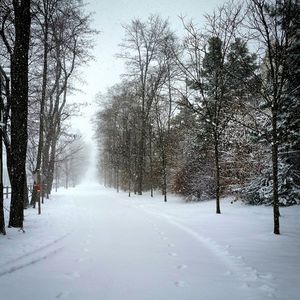 Snow covered road passing through trees