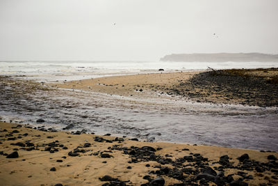 Scenic view of beach against sky