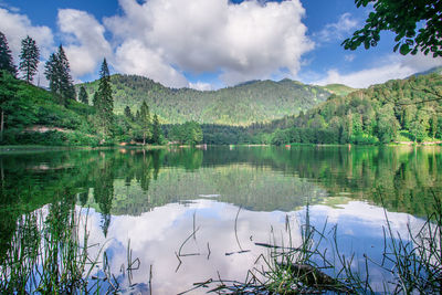 Scenic view of lake by trees against sky
