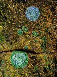 Close-up of multi colored rock