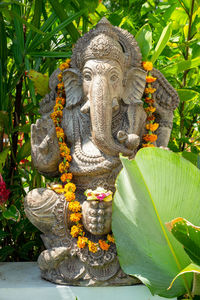 Statue of buddha against plants