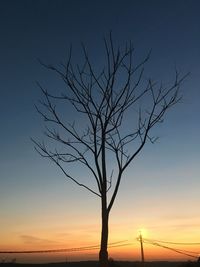 Silhouette bare tree against sky during sunset