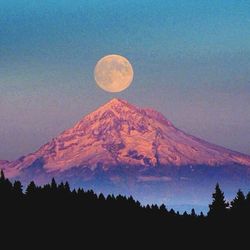 Scenic view of landscape against sky at night