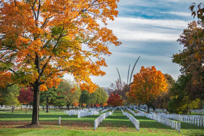 Trees in park during autumn against sky