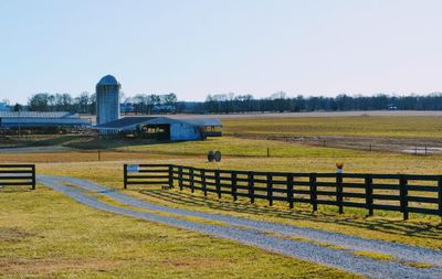 Scenic view of field against clear sky