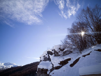 A beautiful landscape of trees, suns and rocks during the winter