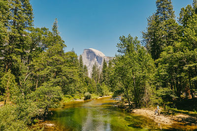 Views of mirror lake during the day in yosemite national park.