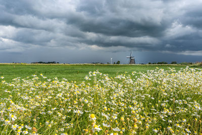 Scenic view of field against cloudy sky