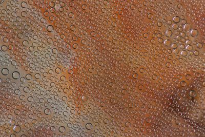 Full frame shot of wet glass window