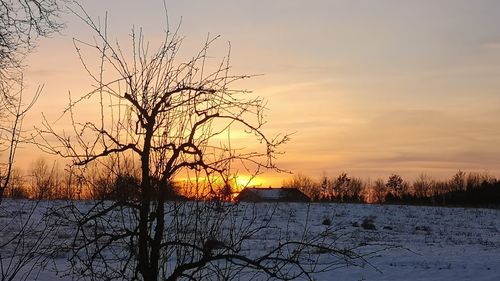 Bare tree by lake against sky during sunset
