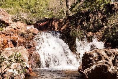 Scenic view of waterfall in forest