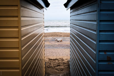 View of sea from beach