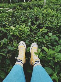 Low section of person wearing shoes on plants