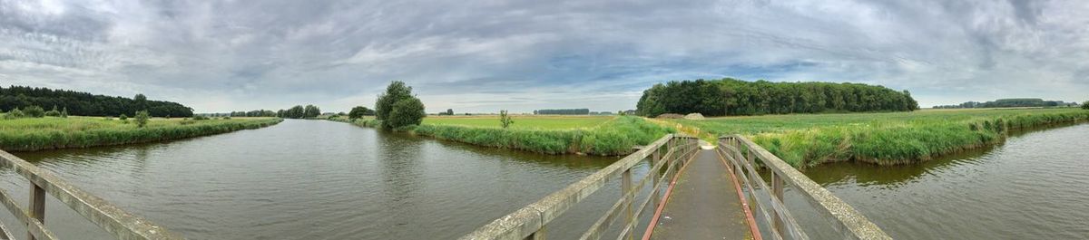 Panoramic view of trees against sky