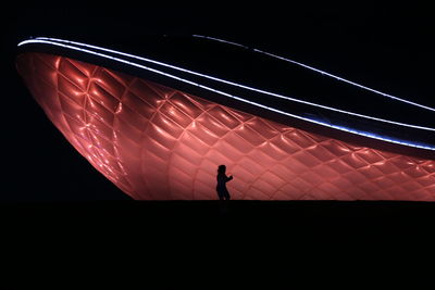 Silhouette person standing by illuminated light against sky at night