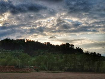 Trees on field against sky during sunset