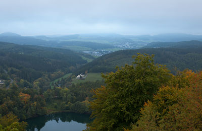 Scenic view of forest against sky