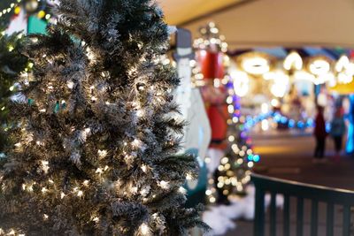 Close-up of illuminated christmas tree at night