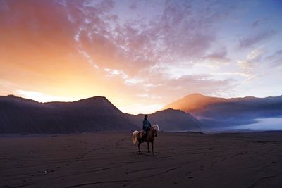 Horse riding motorcycle on sand against sky during sunset