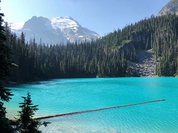 Scenic view of lake against blue sky