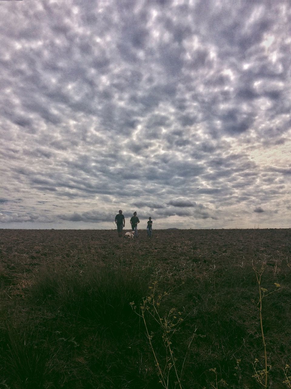 PEOPLE STANDING ON FIELD AGAINST SKY