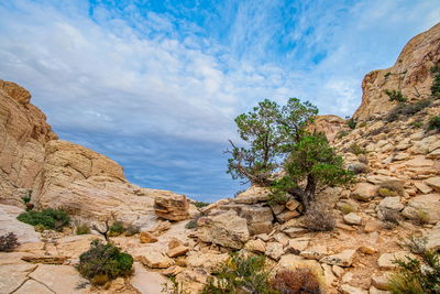 Rock formations on landscape against sky