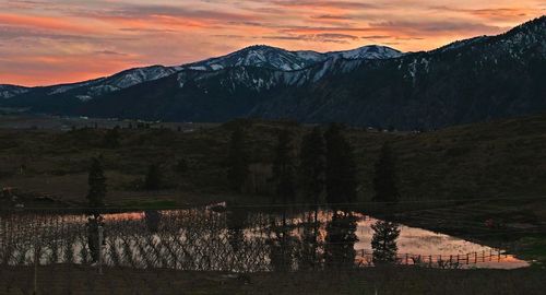 Flooded farmland against mountains during sunset