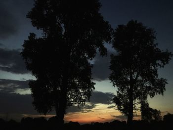 Silhouette trees on landscape against sky at sunset