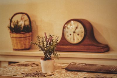 Close-up of potted plant on table at home