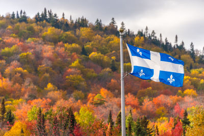 Scenic view of flag amidst trees against sky during autumn
