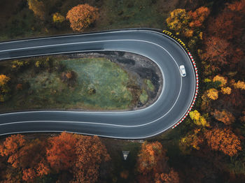 High angle view of trees in forest during autumn