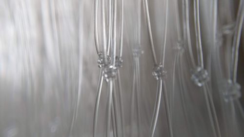 Full frame shot of water drops on glass