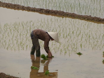 Woman working in water at farm