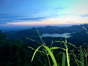 Scenic view of tree mountains against sky