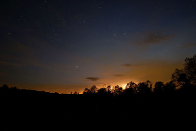 Silhouette trees against sky at night