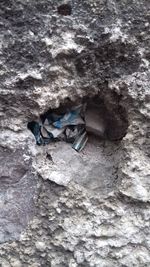 High angle view of paper on rock