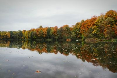 Reflection of trees in calm lake