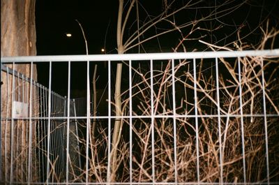 Close-up of metal fence against illuminated building