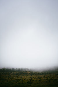 Scenic view of field against clear sky