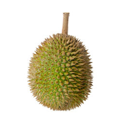 Close-up of pineapple against white background