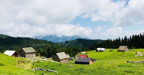 Panoramic view of houses and trees on field against sky