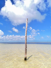 Wooden posts on beach against sky