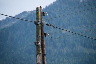 Low angle view of bird perching on electricity pylon against sky
