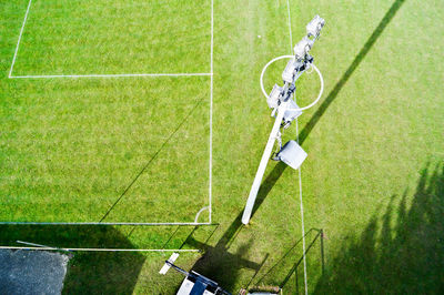 High angle view of tree stump