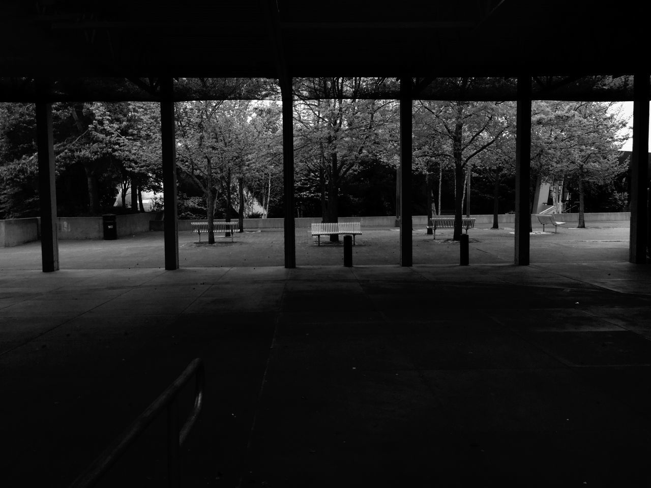 tree, transportation, built structure, incidental people, architecture, indoors, city, street, sunlight, empty, shadow, day, road, absence, park - man made space, the way forward, sidewalk, city life