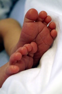 Low section of baby feet