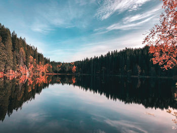 Scenic view of lake in forest against sky