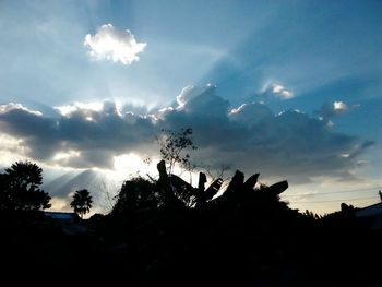 Low angle view of silhouette trees against sky